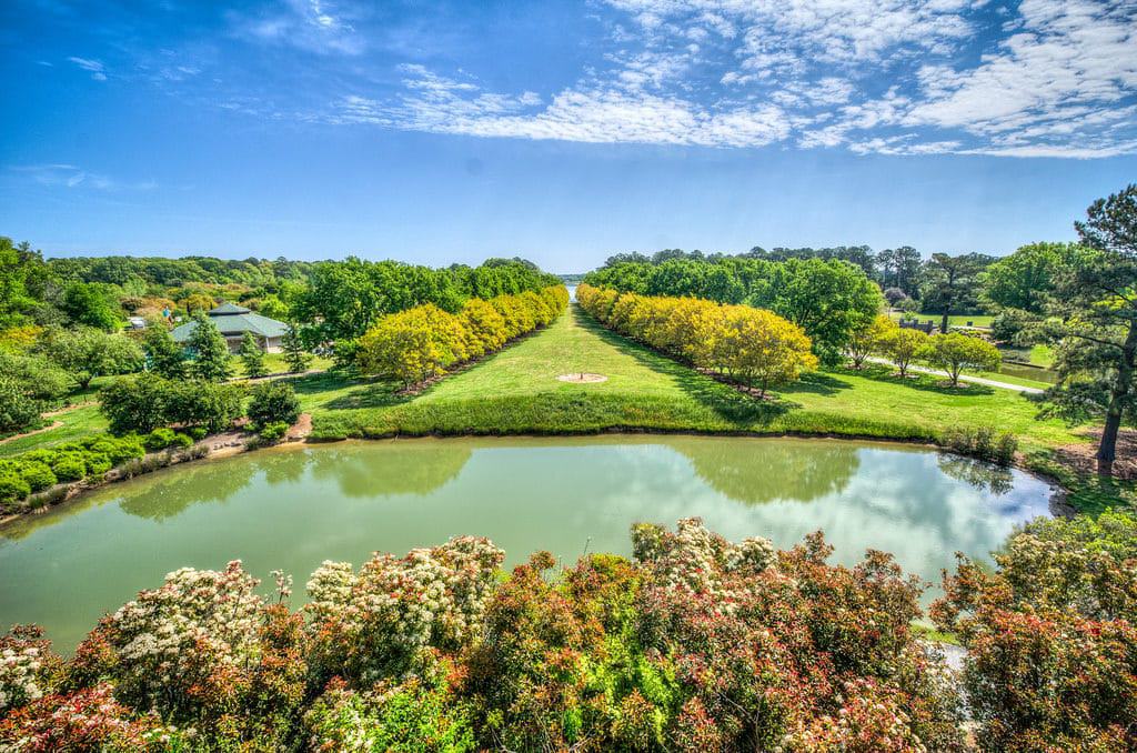 Norfolk Botanical Garden